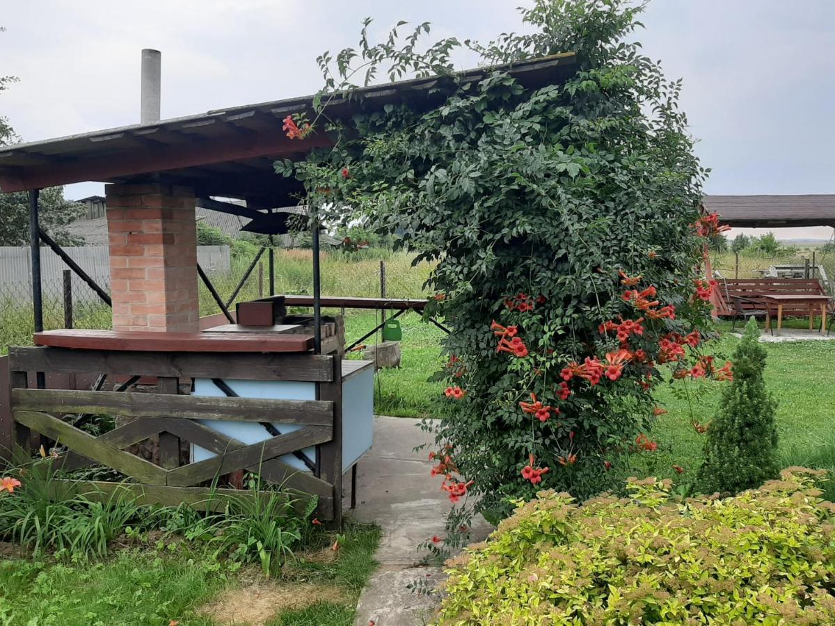Belovezhskaya Blagodat Kamenyuky Luaran gambar
